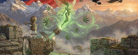 Illustration for: No, Chile Has Never Banned Absinthe — It's Completely Legal There