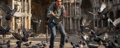 Illustration for: Feeding pigeons is illegal in Venice